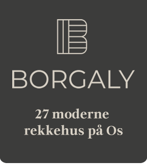 Borgaly logo